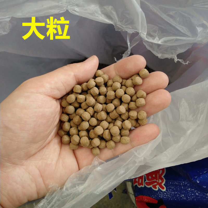 鱼饲料育成锦鲤鱼饲料草鱼金鱼锦鲤鱼鱼食10kg海豚