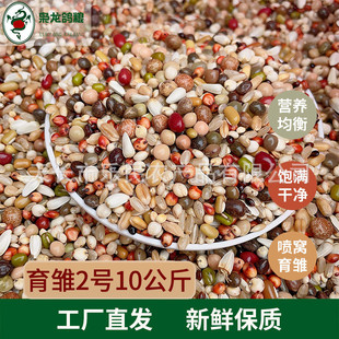 育雏龙鸽粮枭2号10公斤喷窝育雏饲料鸟食赛鸽信鸽鸽子粮