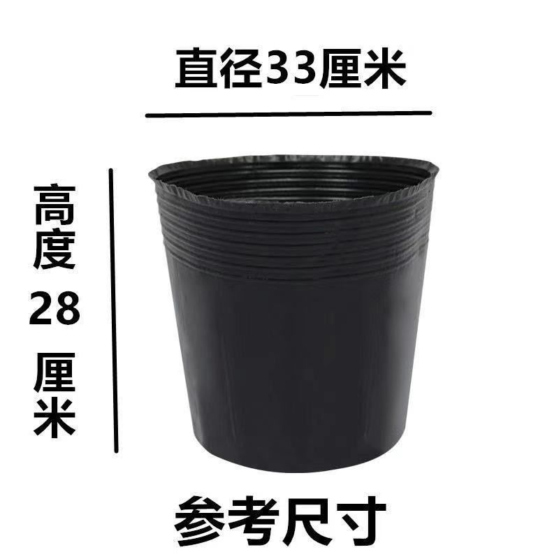 营养育苗杯一次性黑色营养杯袋育苗袋大号播种植塑料育苗盆营养钵