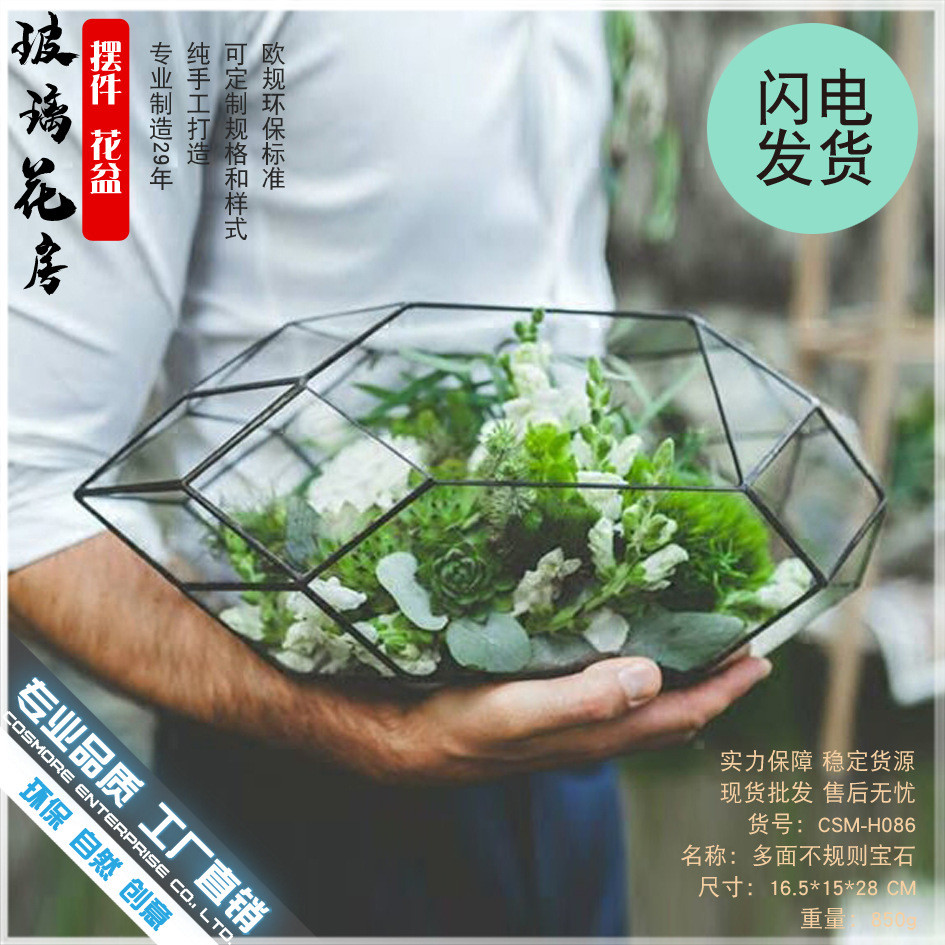 多面不规则宝石小多肉植物苔藓微景观不规则玻璃永生小花房盒批发