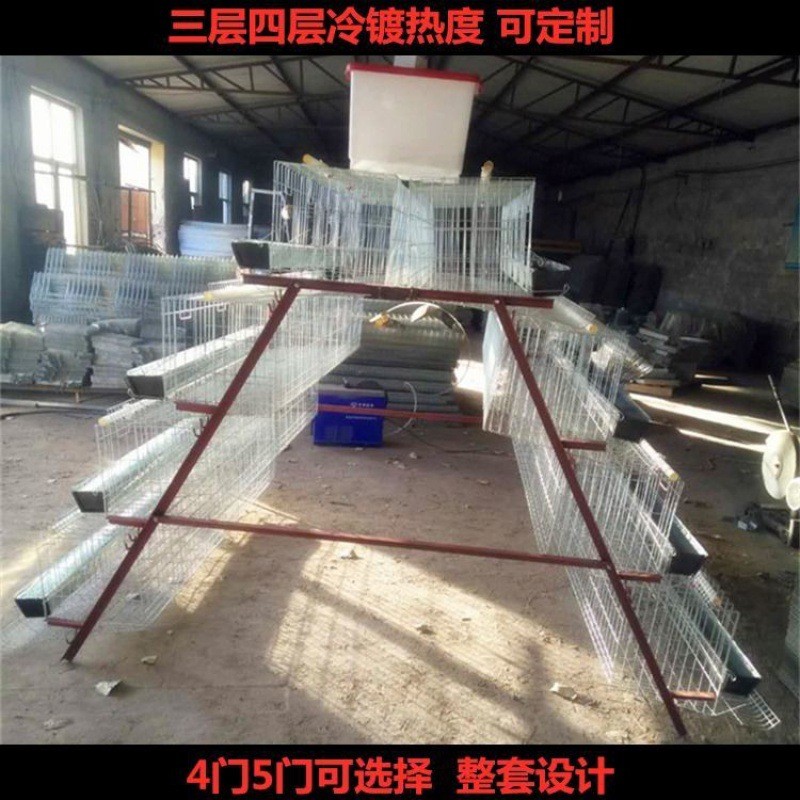 鸡笼养鸡笼子养殖场蛋鸡家用鸡鸭特大号三层门阶梯式镀锌铁丝笼子