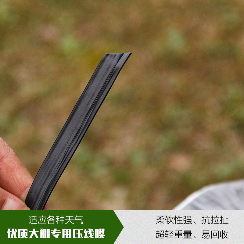 出口超抗拉线大棚压膜抗老化压膜绳温室园艺压膜线压膜带优质包邮