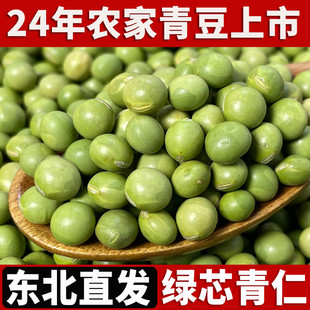 东北大青豆24年农家新货干生大青豆绿芯青仁青豆五谷杂粮豆类粗粮