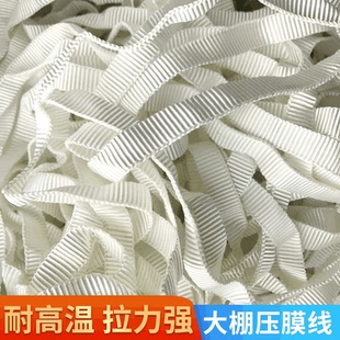 温室耐高温耐老化大棚压膜压抗磨耐晒涤纶压膜线高强度带棚绳