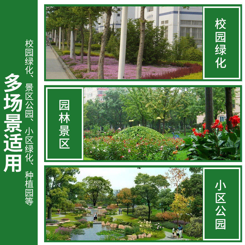 个性树铭牌亚克力金属树木认养牌学校绿化挂牌介绍牌植物