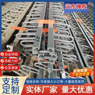 公路桥梁伸缩缝d80gqf-c/f型d4060异型160型240型钢伸缩缝胶条