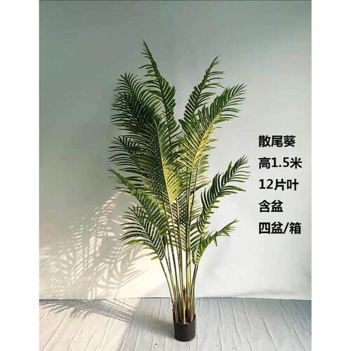 北欧仿真散尾葵盆栽室内物假植贵妃绿植盆景凤尾客厅装饰落地摆件