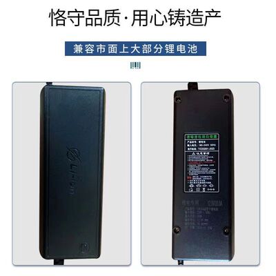 12V24V房车叉车三元铁锂12.6V14.6V29.4V10A20A30A50A锂电充电器