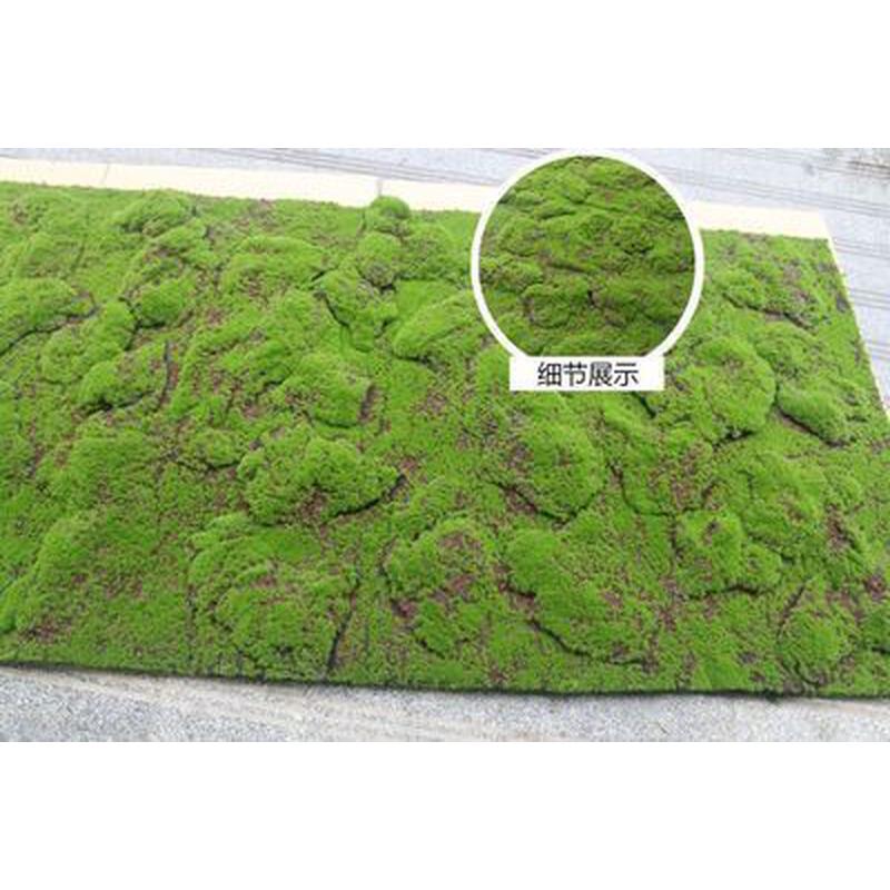 仿真青苔人造草坪草皮室内盆景造景石长草假苔藓植物墙装饰微景观