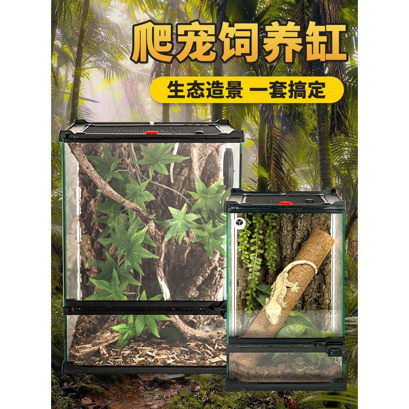 爬宠饲养箱前开门角蛙蜘蛛蜥蜴守宫生态守宫雨林造景睫角玻璃缸