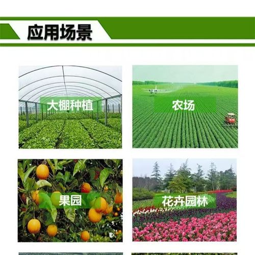 微生物菌剂强力生根液生物发酵蔬菜草莓调土养根壮苗旺效根立三
