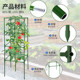 厂家批发方形带种植袋番茄支柱架室内外蔬菜种植架花卉爬藤架