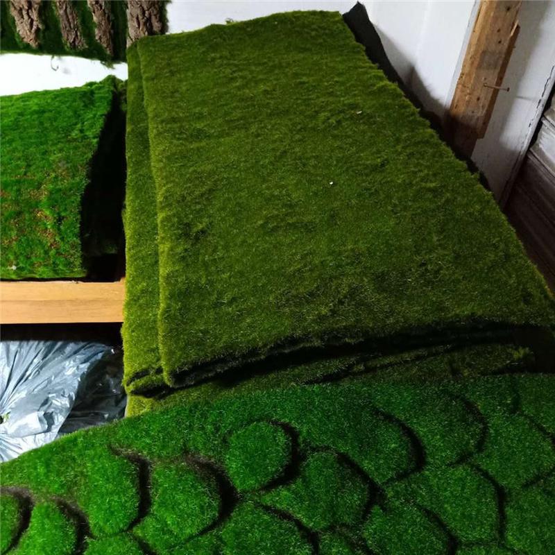 仿真青苔草坪苔藓藓草皮假园林背景墙室内外苔藓植物装饰盆景盆栽