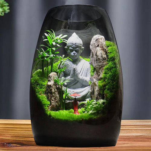 k1植物生态绿植盆景创意盆栽好养摆件景观苔藓办公室造景桌面