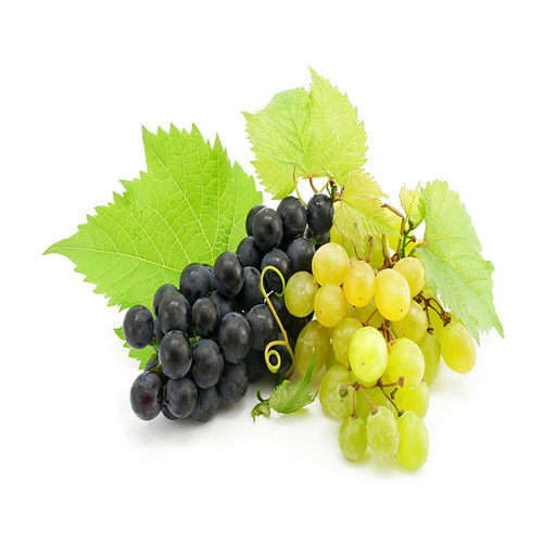 【油性、】销售香味油墨油墨樱桃味香味油墨，摩擦散发香味