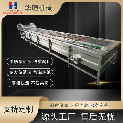 热销提升加工成套流水线 玉米清洗机 龙门藕片清洗机