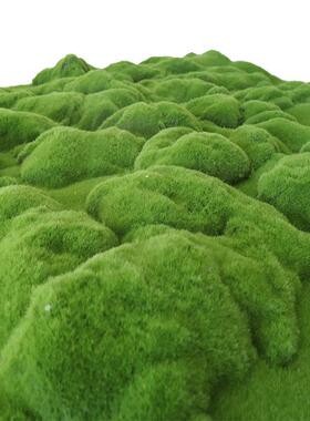 仿真青苔草皮造景大鼓包苔藓草坪绿植墙微景观盆景相框绿色装饰