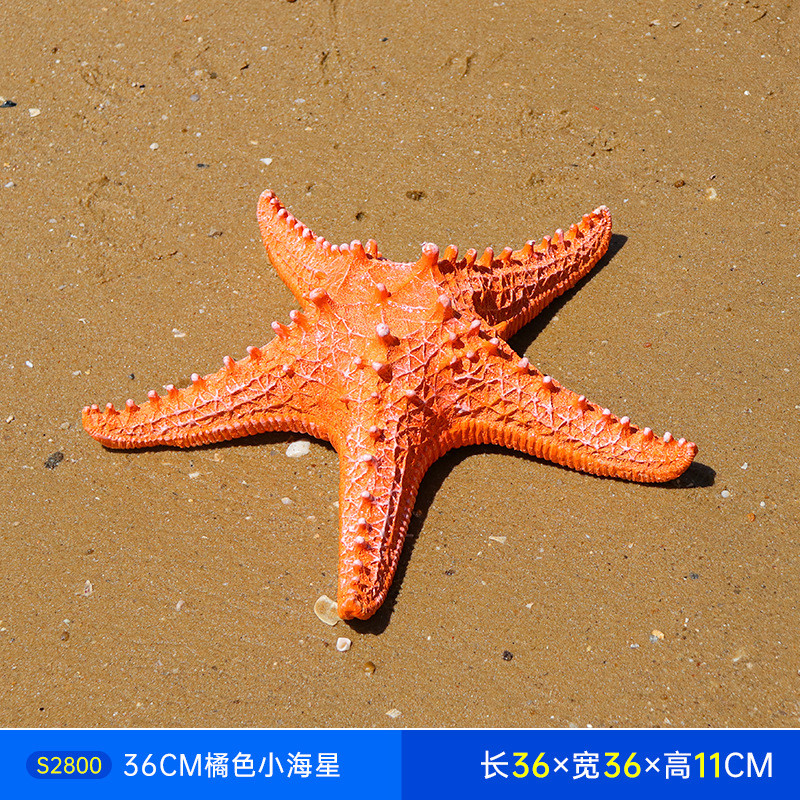 户外沙滩仿真海洋动物摆件玻璃钢雕塑创意海底海星贝壳珊瑚装饰品