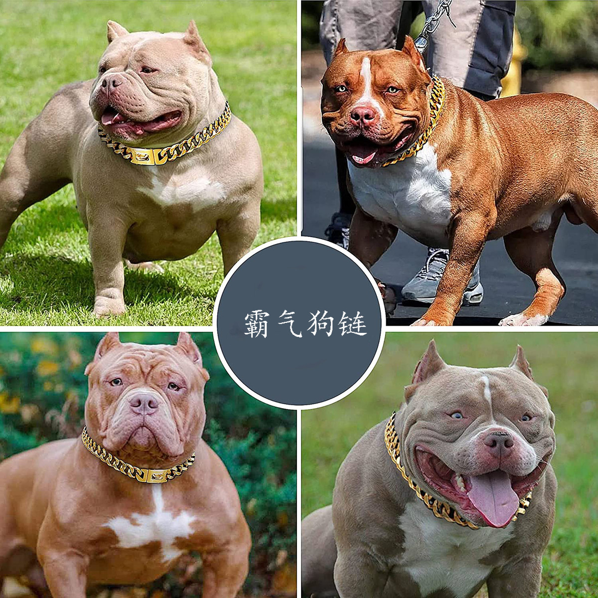 15mm不锈钢狗链中大型犬狗项圈恶霸犬训狗脖圈链钢六面磨牵引钛