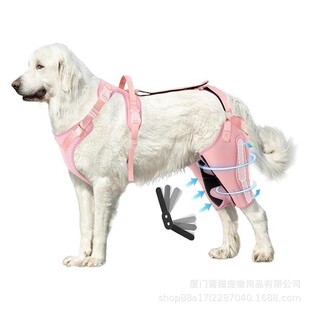 热销跨境热卖支撑护膝适用撕裂的acl后腿狗腿宠物狗拉伤髌骨十字