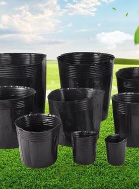 营养杯育苗杯一次性黑色营养袋育苗袋大号播种植塑料育苗盆营养钵