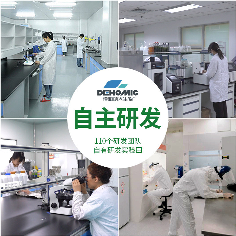 现货批发淡紫拟青霉抗抗根线虫抗根线虫菌重插抗根腐抗病害全水溶
