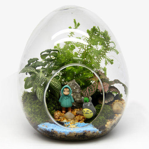 苔藓微景观创意礼品摆件绿植苔藓瓶生态瓶蛋形瓶植物小世界