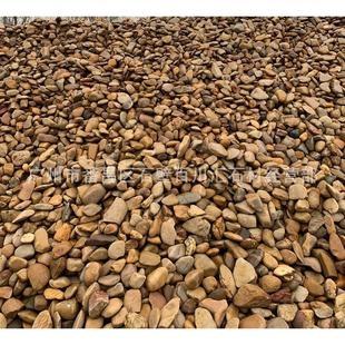 厂家铺路天然园林装 饰杂色鹅卵石水池批发杂色卵石砾石规格齐全