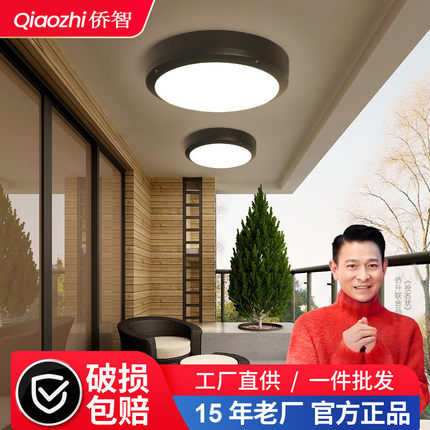 户外吸顶灯现代室外防水阳台灯防潮防虫过道灯户外走廊大门led灯