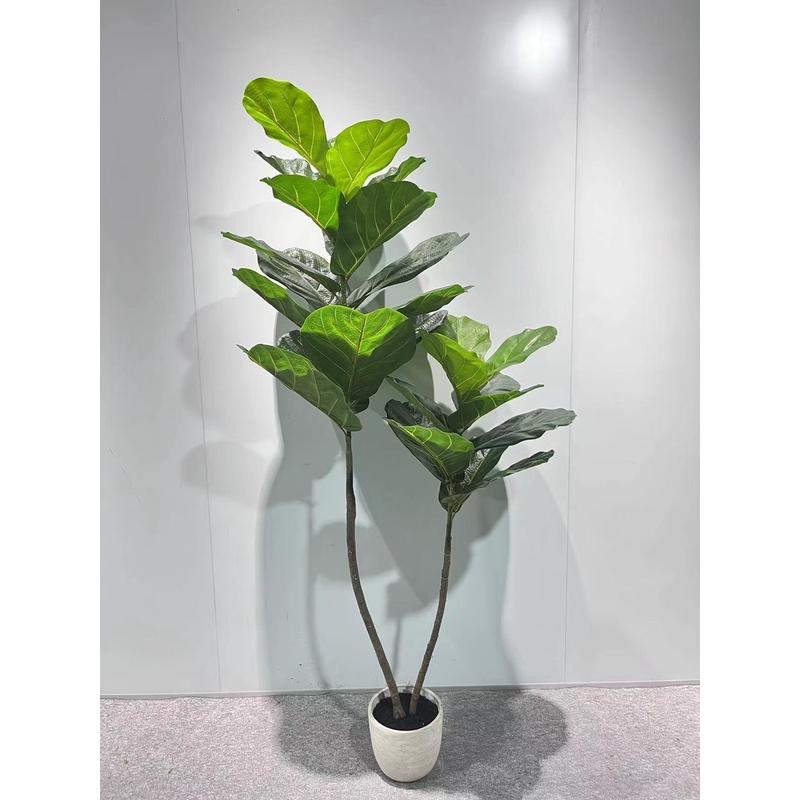 小提琴琴叶蓉室内大型盆栽仿真植物盆景四季常青花卉仿真叶片摆件