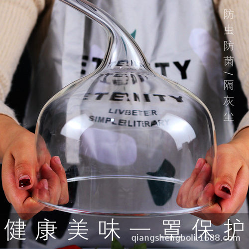 烟熏玻璃罩分子料理美食罩意境菜玻璃罩创意凉菜罩防尘食物罩