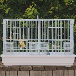 达洋鸟笼 隔断式繁殖鸟笼 丝雀玉鸟繁殖笼 金属便携式鸟笼 白色笼