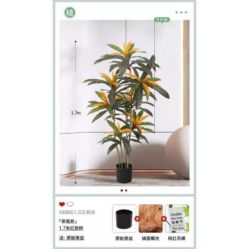 2024北欧轻奢巴西木高端大型仿真绿植室内客厅摆设仿真盆栽植物红