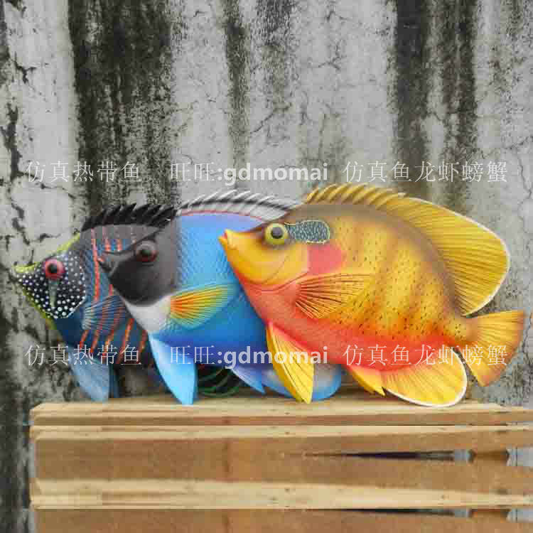仿真立体海洋热带鱼彩色塑料鱼50cm半边鱼动物模型家居餐厅摆设