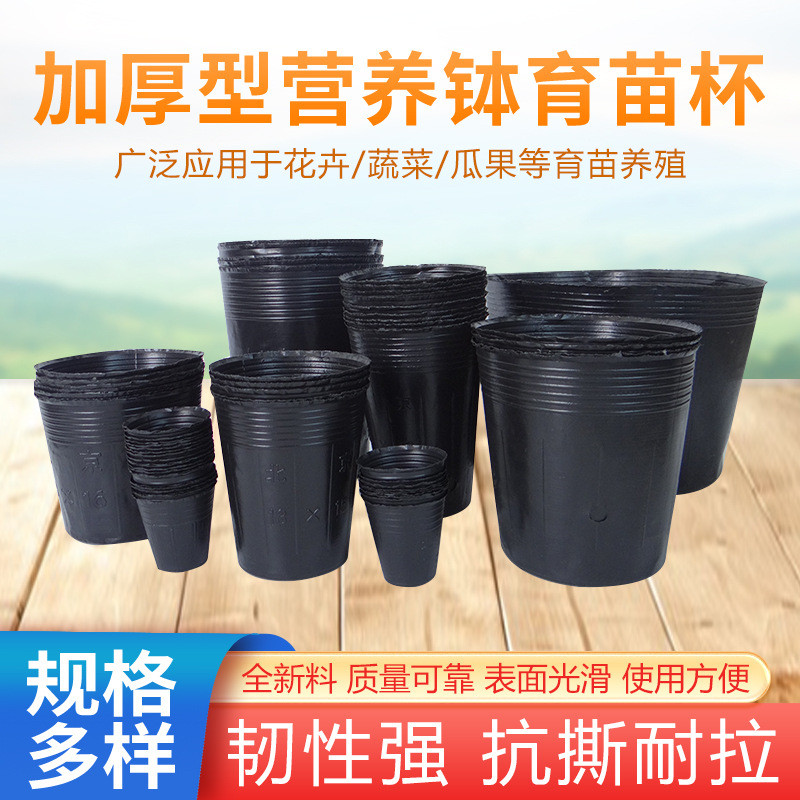12x15cm农业林业专用大号pe塑料营养钵花盆育苗杯批发