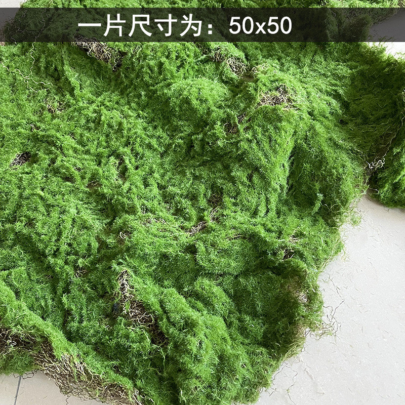 仿真青苔广东苔藓皮仿真植物室内橱窗景观造景苔藓包草坪批发工艺
