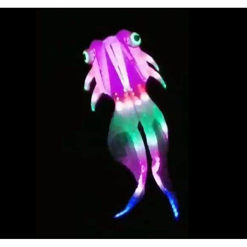 软体金鱼风筝夜光风筝金鱼led风筝3.6*9米