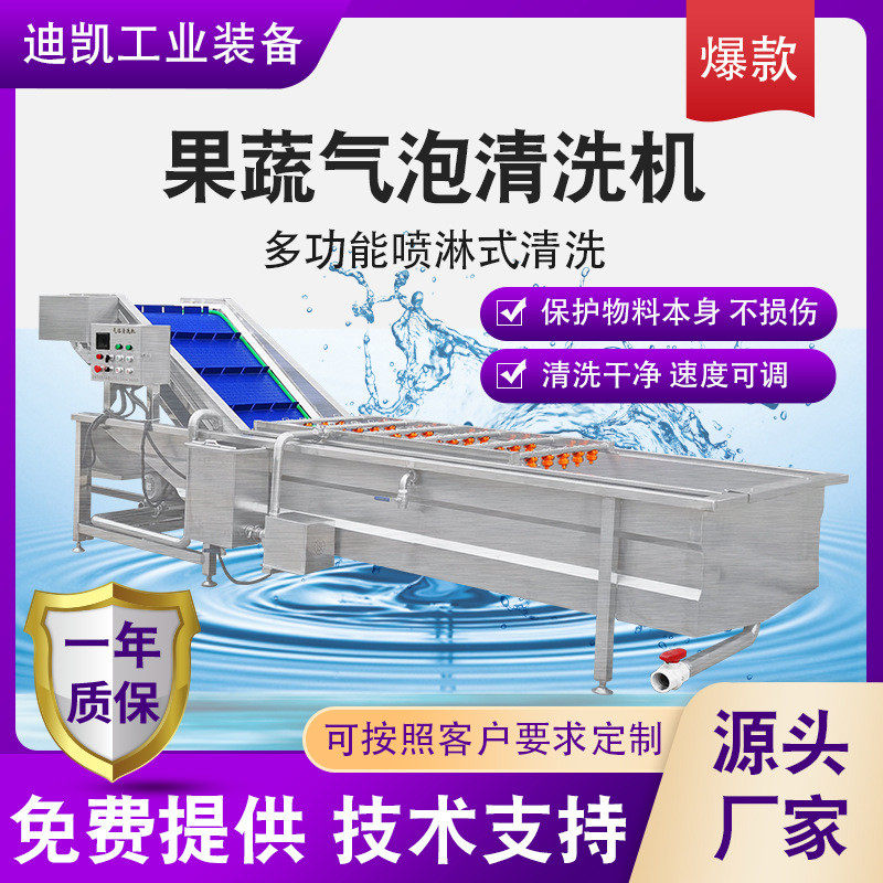 多功能全自动果蔬蔬菜清洗机 气泡式喷淋豆角清洗机 洗菜机设备