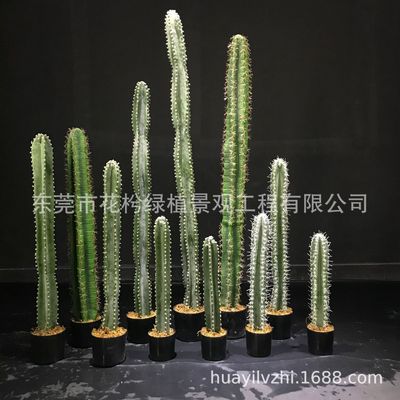 仿真仙人球柱仙人掌棒植物盆栽室内绿植装饰造景量天尺仙人掌组合