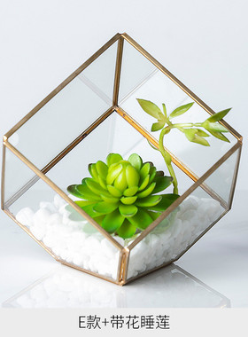 简约大气几何玻璃罩客厅容器桌面创意摆件仿真盆栽玄关橱窗装饰品