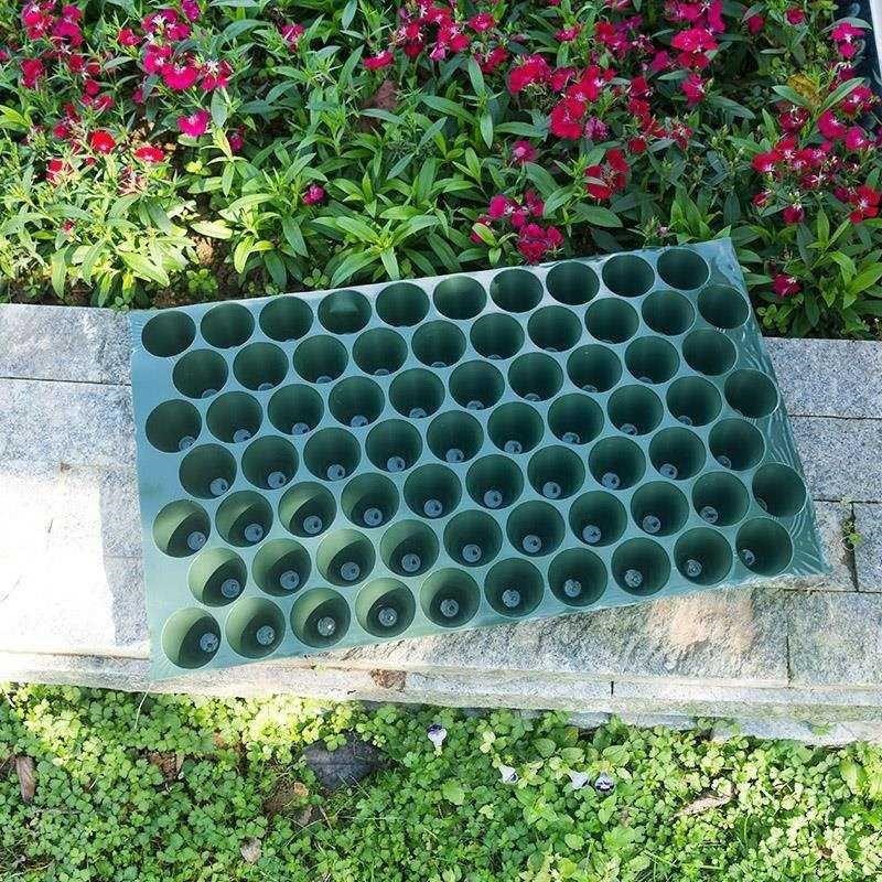 育苗穴盘培育玉米苗育苗钵营养钵瓜果芽菜塑料孔穴多规格蔬菜圆孔