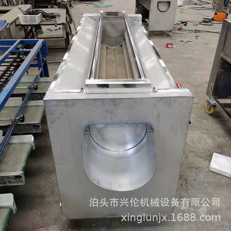 热销红薯清洗机气泡清洗机毛辊式清洗风干机大枣干湿两用清洗机