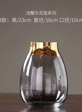 简约现代欧式玻璃花瓶透明家居插花瓶客厅餐桌水培装饰品摆件