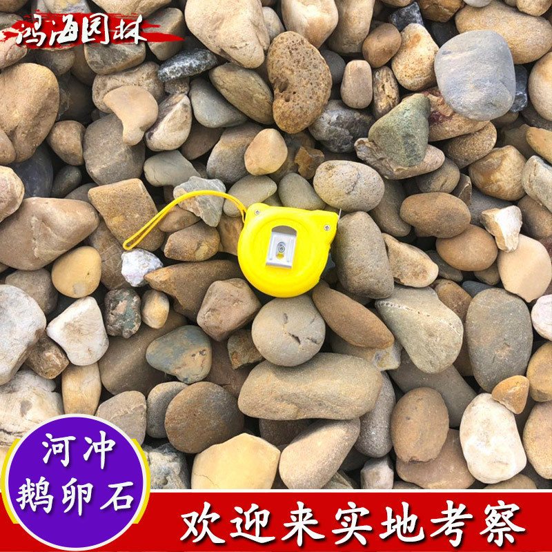 批发过滤石子鱼池盆栽铺面石材鹅卵石铺路石彩色花园别墅雨花石