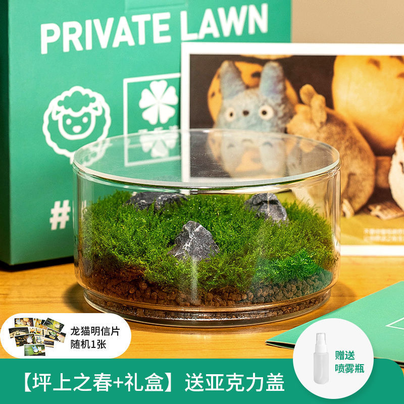 苔藓生态瓶种养微景观系列闷好发货桌面好养创意微缩苔藓摆件盆景
