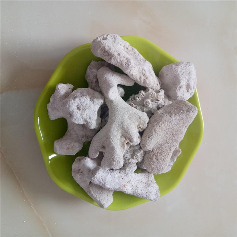 热销厂家供应珊瑚石水族造景珊瑚石鱼缸装饰用珊瑚沙