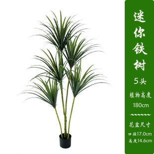 饰假摆件绿植盆栽树 仿真迷你铁树北欧ins风假植物落地盆景室内装
