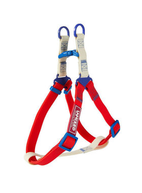 unmixed活力对撞狗胸背防水易清洗牵引绳泰迪带小型犬外出胸比熊