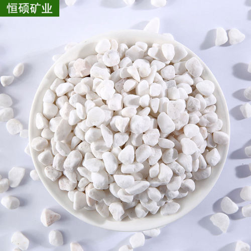 现货批发花卉水培白石子庭院花园园林铺路别墅装饰卵石白机制