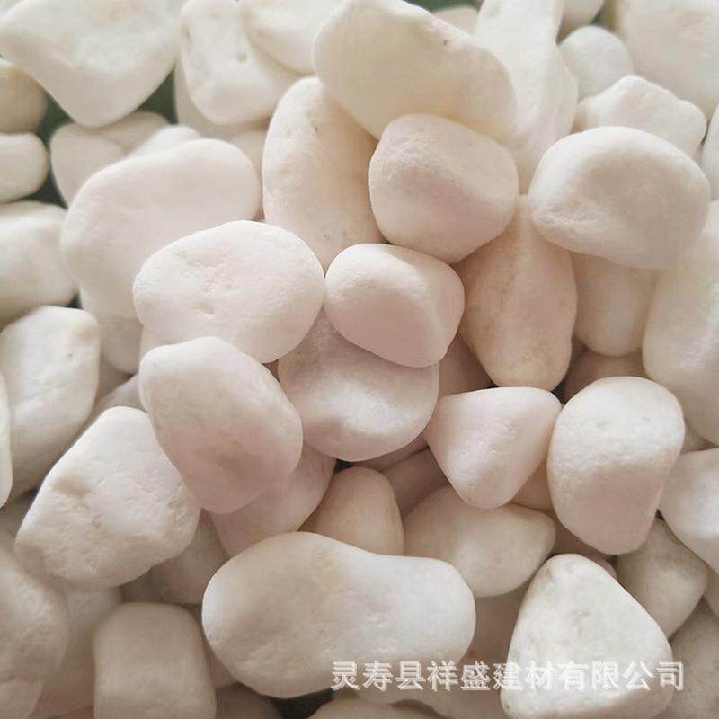 白色鹅卵石园艺盆栽多肉庭院小石子白色园林铺路机制雪花白石头